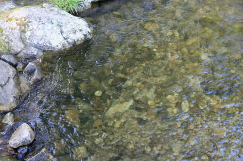 20120730.jpg