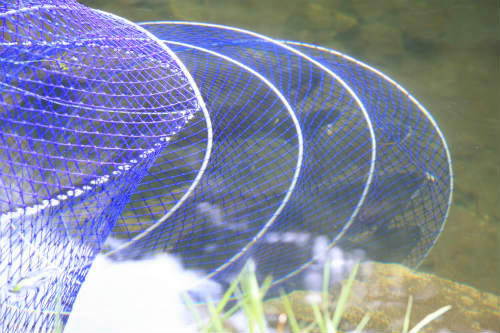20120731_1.jpg