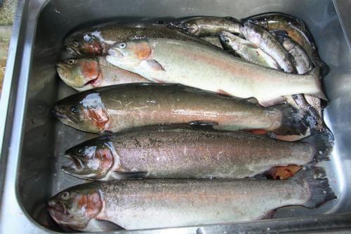 20120731_3.jpg
