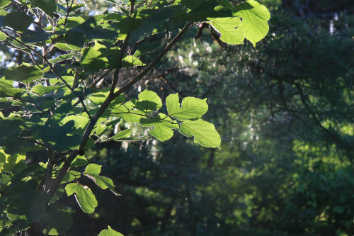 20120801.jpg