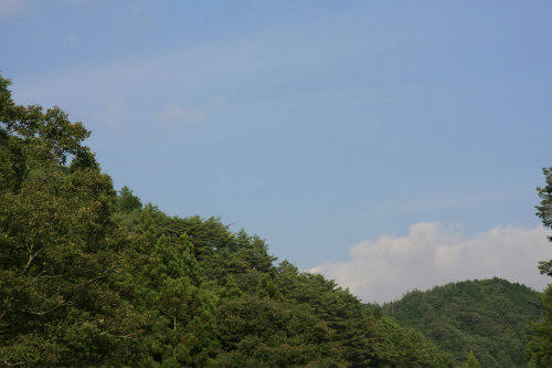20120809.jpg