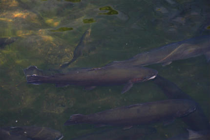 20120821.jpg