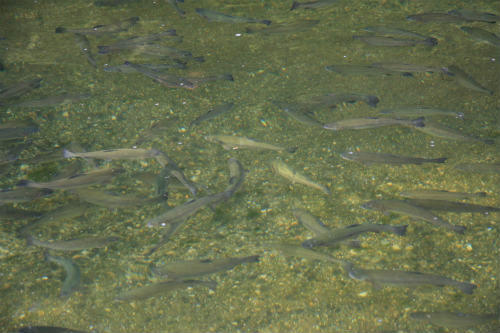 20120827.jpg