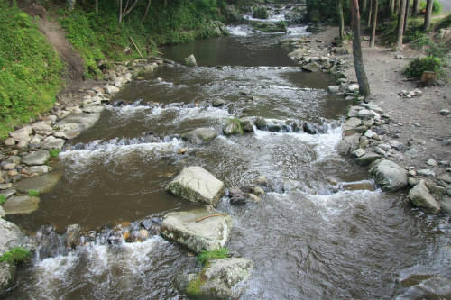 20120907_1.jpg