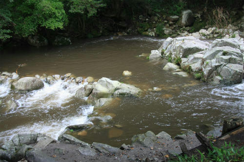 20120907_2.jpg