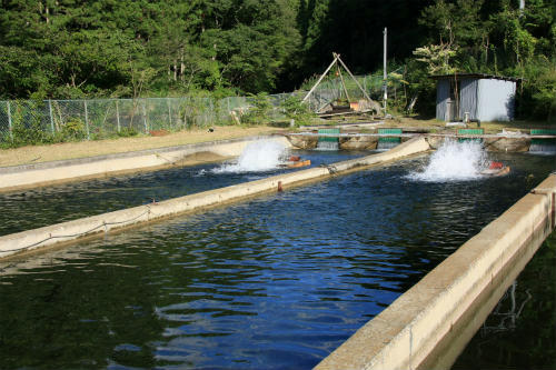 20120910_1.jpg