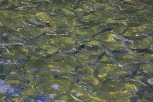 20120910_3.jpg