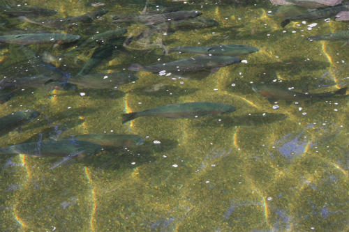 20120910_4.jpg