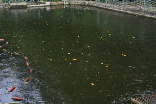 20120918_2.jpg