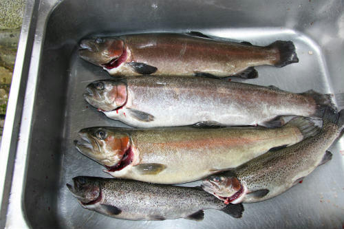 20120923_1.jpg