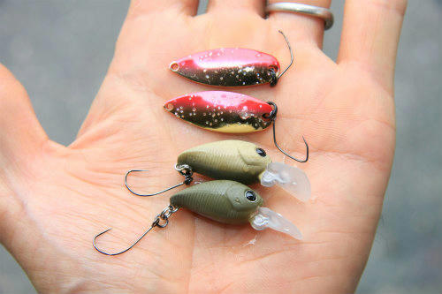 20120923_2.jpg