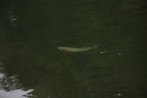 20120923_3.jpg