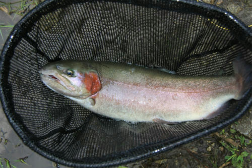 20120923_4.jpg