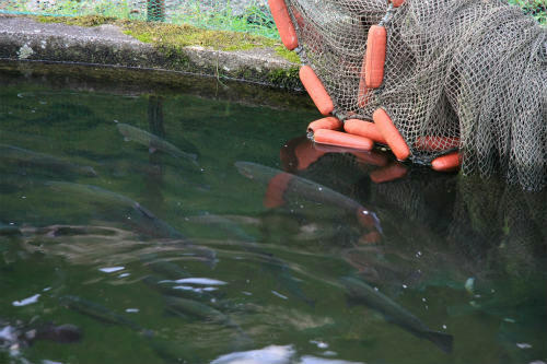 20120925.jpg