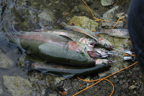 20120929.jpg