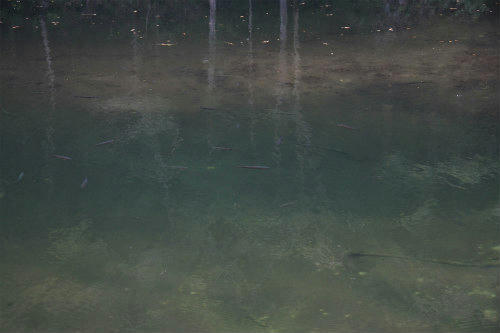 20121010.jpg