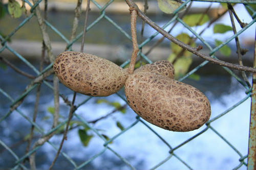 20121015.jpg