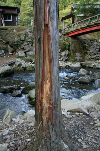 20121024_1.jpg