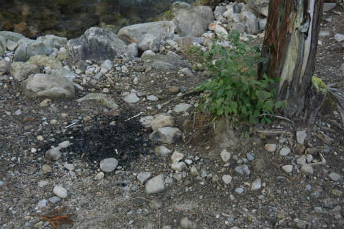 20121024_2.jpg