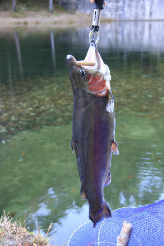20121201_1.jpg