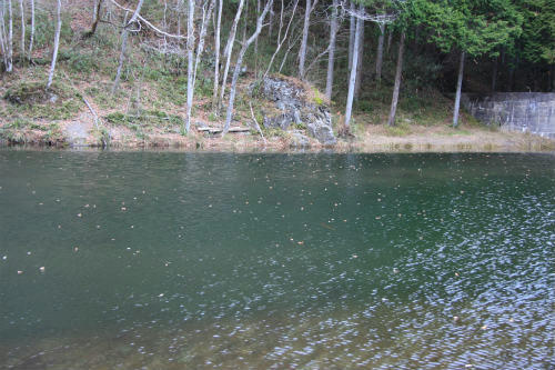 20121201_2.jpg