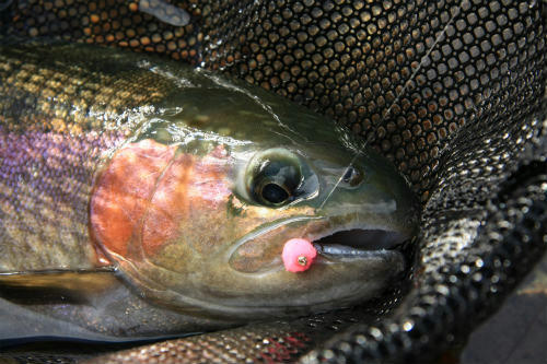 20121209_3.jpg