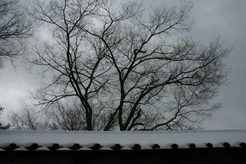 20121210_5.jpg