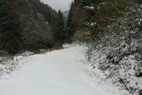 20121210_6.jpg