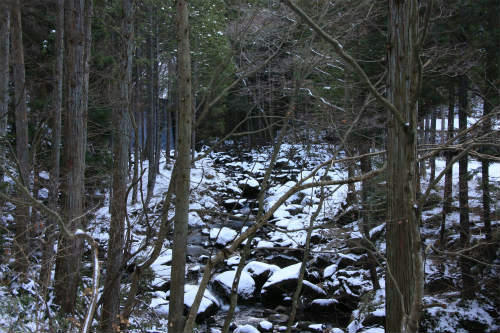 20121213_2.jpg
