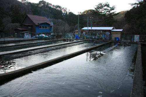 20121227.jpg