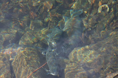 20130101_3.jpg