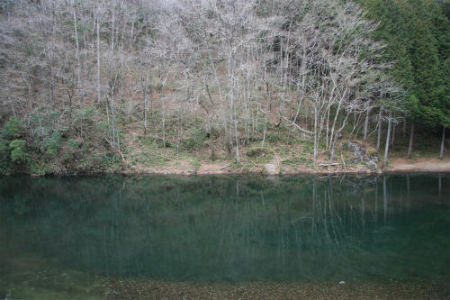 20130106.jpg
