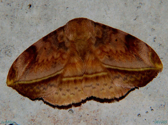 DSCF0881tas.jpg