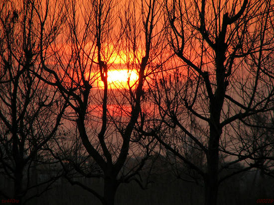 img_25711as.jpg