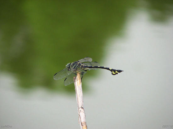 img_35716as.jpg