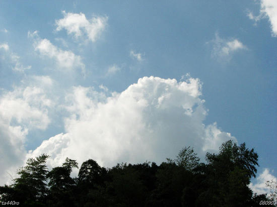 img_37474tas.jpg