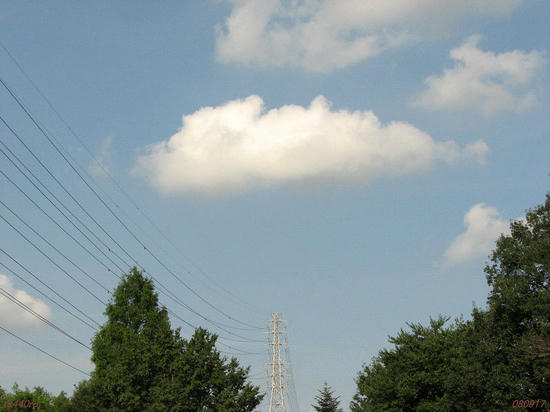 img_37984as.jpg
