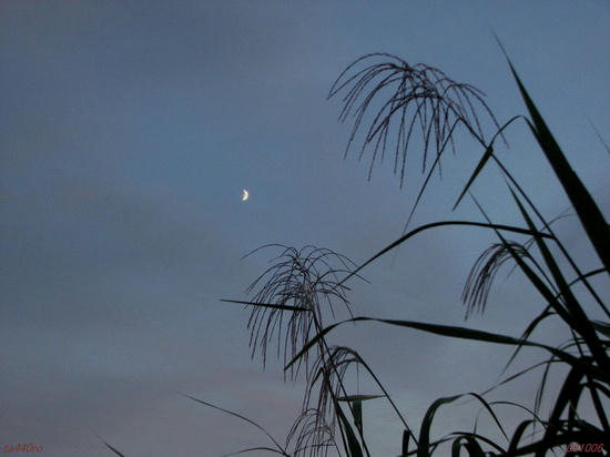 img_38586as.jpg