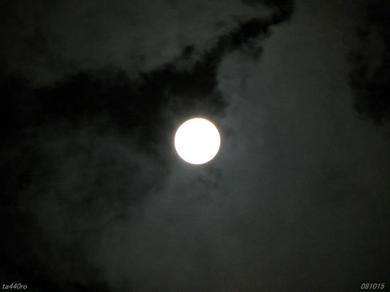img_38823as.jpg