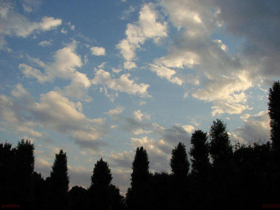 img_38771as.jpg