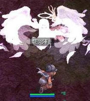 キレイに撮れました！