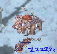 ｚｚｚ秋はまだかー