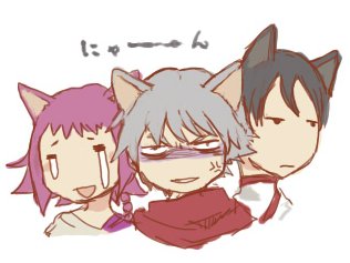 にゃー･･････