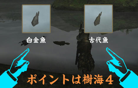 白金魚の見た目　古代魚の見た目　MHF