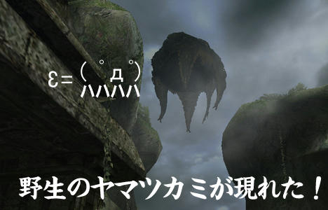 ヤマツカミ　姿　こっちみんな