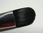shadowbrush2.jpg