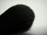 facebrush2.jpg