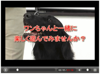 ffca6937.gif