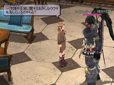 mabinogi_2010_01_24_17.jpg