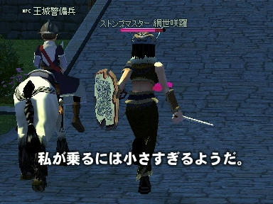 mabinogi_2010_01_24_21.jpg